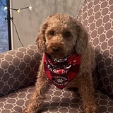 Entry image for Zoey