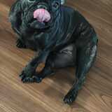 Entry image for Wednesday 