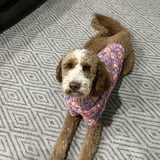 Entry image for Jersey