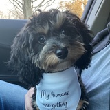 Entry image for Remi