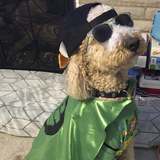 Entry image for Benny