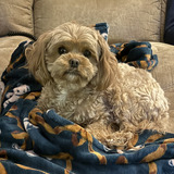 Entry image for Milli