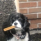 Entry image for Miley 