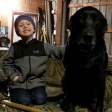 Entry image for Bella