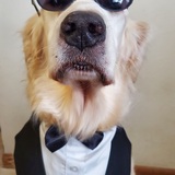 Entry image for Charlie