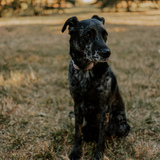 Entry image for Lane 