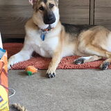 Entry image for SADIE MAE 