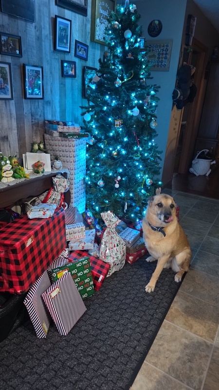 Entry image for Arlo. Clicking this image will show a larger photo