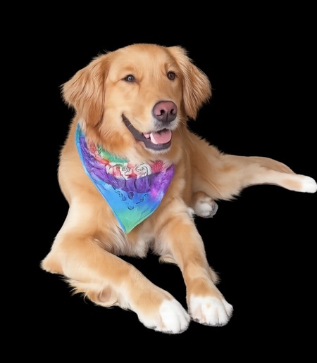 Entry image for Lana . Clicking this image will show a larger photo