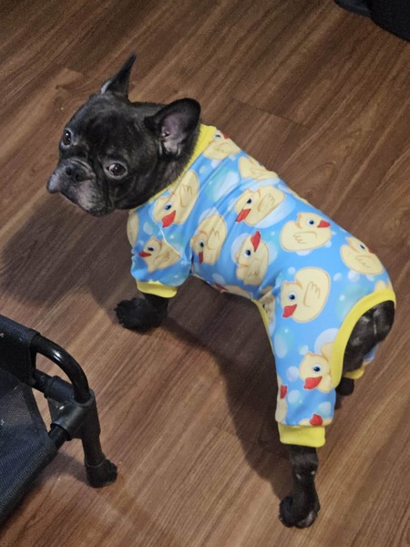 Entry image for Pancho Villa. Clicking this image will show a larger photo