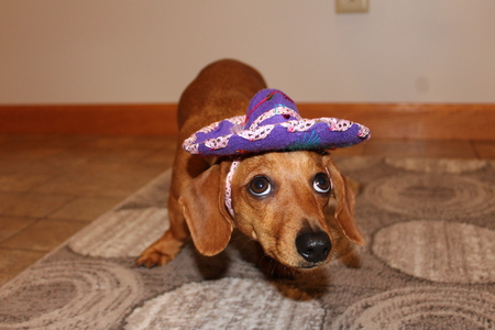 Entry image for MaysonJo. Clicking this image will show a larger photo