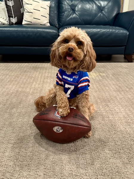 Entry image for Winnie. Clicking this image will show a larger photo