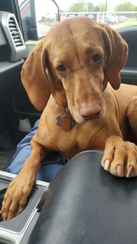 Entry image for Maggie. Clicking this image will show a larger photo