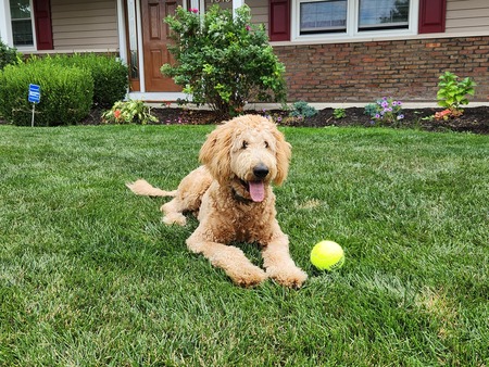 Entry image for Marlin. Clicking this image will show a larger photo