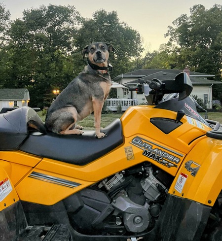 Entry image for Annie. Clicking this image will show a larger photo