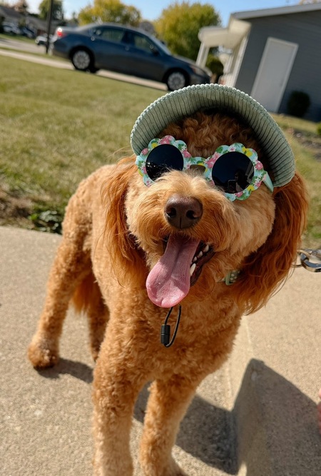 Entry image for Willow. Clicking this image will show a larger photo