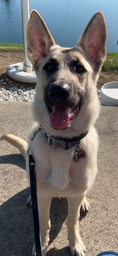 Entry image for Odessa. Clicking this image will show a larger photo