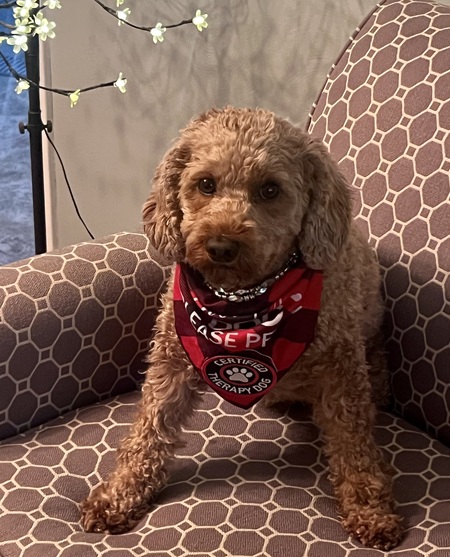 Entry image for Zoey. Clicking this image will show a larger photo