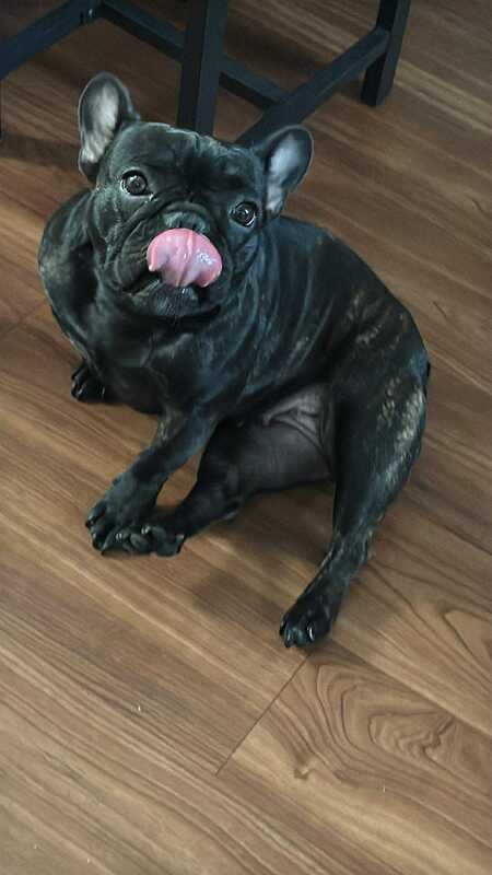 Entry image for Wednesday . Clicking this image will show a larger photo