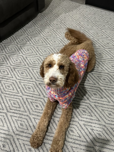 Entry image for Jersey. Clicking this image will show a larger photo