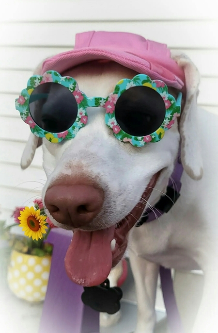 Entry image for Izabella. Clicking this image will show a larger photo