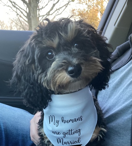 Entry image for Remi. Clicking this image will show a larger photo