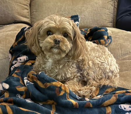 Entry image for Milli. Clicking this image will show a larger photo