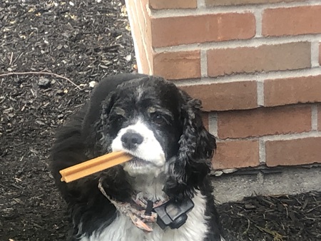 Entry image for Miley . Clicking this image will show a larger photo