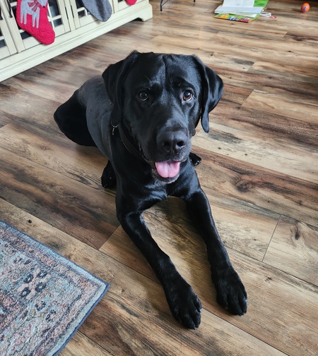 Entry image for Bruce. Clicking this image will show a larger photo