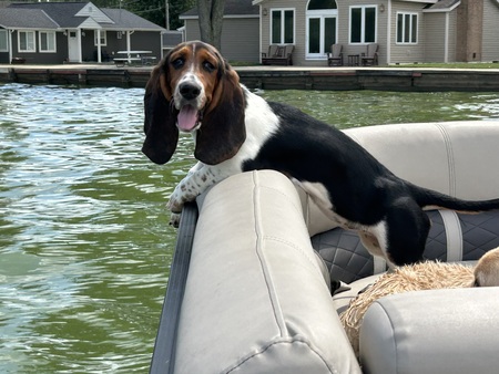 Entry image for Lottie. Clicking this image will show a larger photo