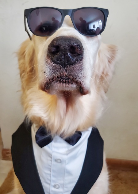 Entry image for Charlie. Clicking this image will show a larger photo