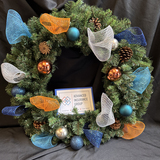 Entry image for Advanced Insurance Group