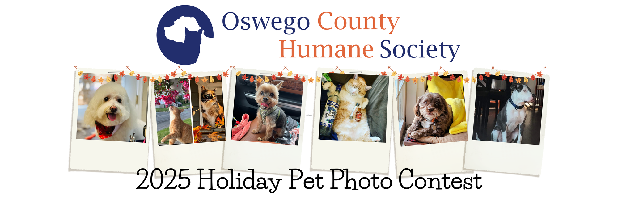 Banner for 2025 Holiday Pet Photo Contest