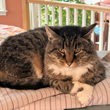 Entry image for Sally