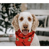 Entry image for Murray