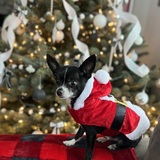 Entry image for Jack