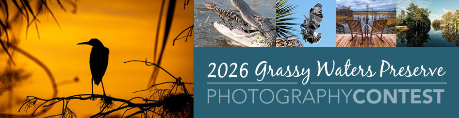 Banner for 2026 Grassy Waters Preserve Photography Contest