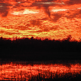 Entry image for The Silence of Red