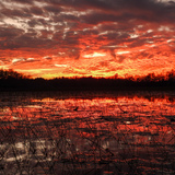 Entry image for Where Red Lingers