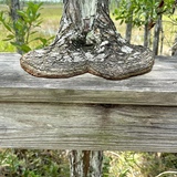 Entry image for Nature Always Wins