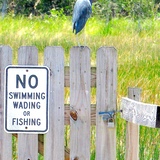 Entry image for Rulebreaker!