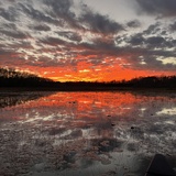 Entry image for Glory