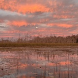 Entry image for Magnificent Moon