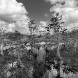 Entry image for Tranquility 