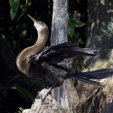 Entry image for See My Smile 