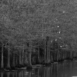 Entry image for Winter Time 