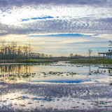 Entry image for Grassy Sunrise