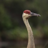 Entry image for Face to Face