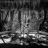 Entry image for Shades