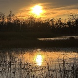 Entry image for True beauty